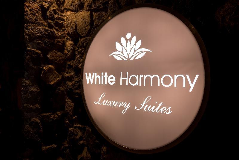 White Harmony Suites Megalochori  Esterno foto
